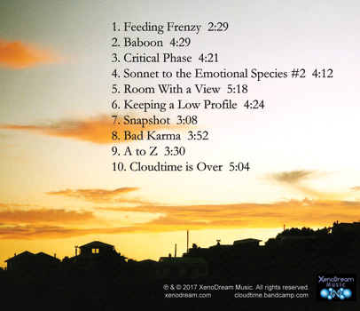 Views From a Room back cover