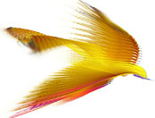 Blissbird image made with XenoDream